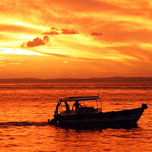 Autor: Paulo Neris - Câmera digital Nikon Coolpix L100 - Foto 5