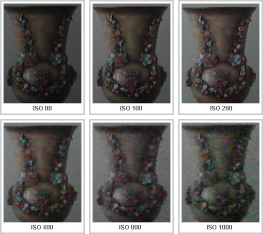 Seis recortes comparativos, ISO de 80 a 1000, peça decorativa com flores de louça encrustadas