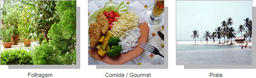 Três fotos ilustrando os modos programados: folhagem em jardim, prato de comida, praia