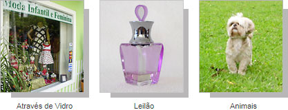 Três fotos ilustrando os modos programados: vitrine de loja, frasco de perfume, cachorro