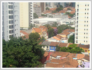 Casas meio a árvores e vista parcial de alguns edifícios