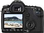Máquina digital Canon EOS 50D
