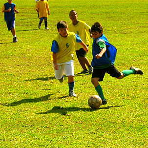 Autor: Marcelo Sardela - Câmera digital Nikon Coolpix 4600 - Foto 5