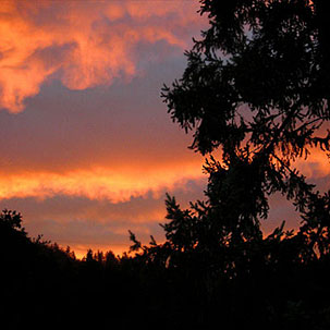 Autor: Matt Firpo - Câmera digital Nikon Coolpix L3 - Foto 5