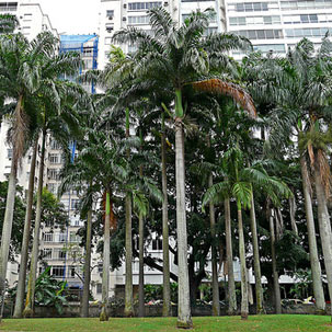 Autor: Leonardo Martins - Câmera digital Panasonic Lumix DMC-FZ18 - Foto 3