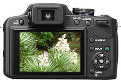 Máquina digital Panasonic Lumix DMC-FZ47 - Foto editada pelo Câmera versus Câmera