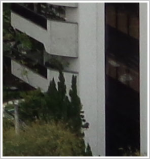 Detalhe vertical de edifício livre de serrilhado, sem o DRO Plus