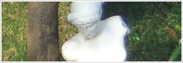 Recorte tamanho natural, estátua e jardim, zoom 16x, mais nitidez ao reduzir manualmente o ISO