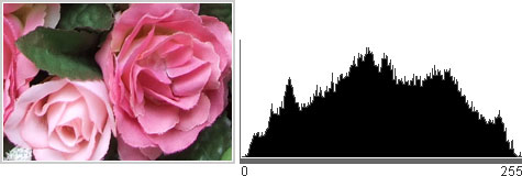 Foto de rosas e folhas de tecido, ao lado seu histograma