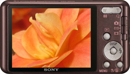 Close de flor visto na tela LCD de câmera Sony compacta marrom